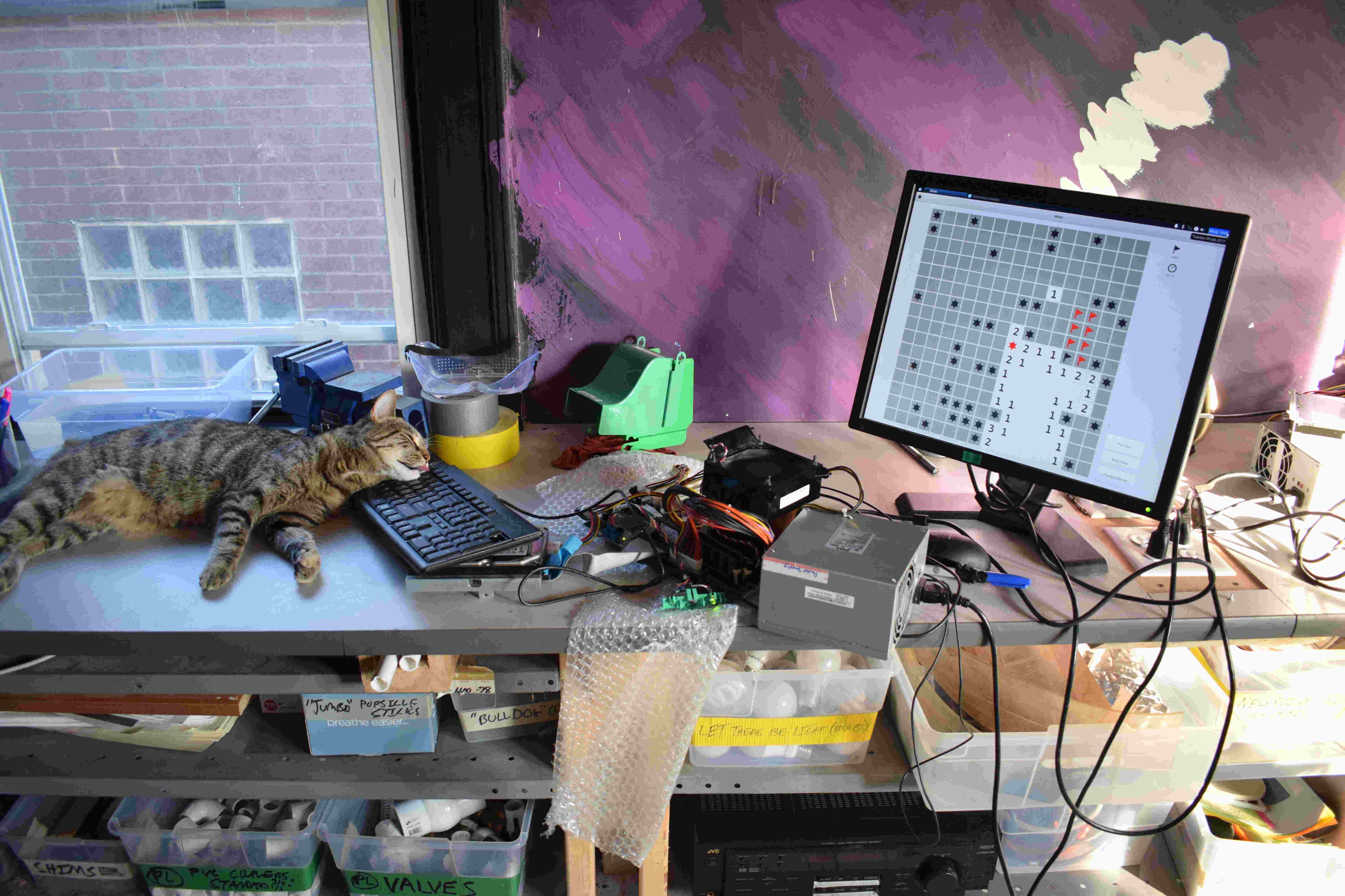 pile computer with guardian cat