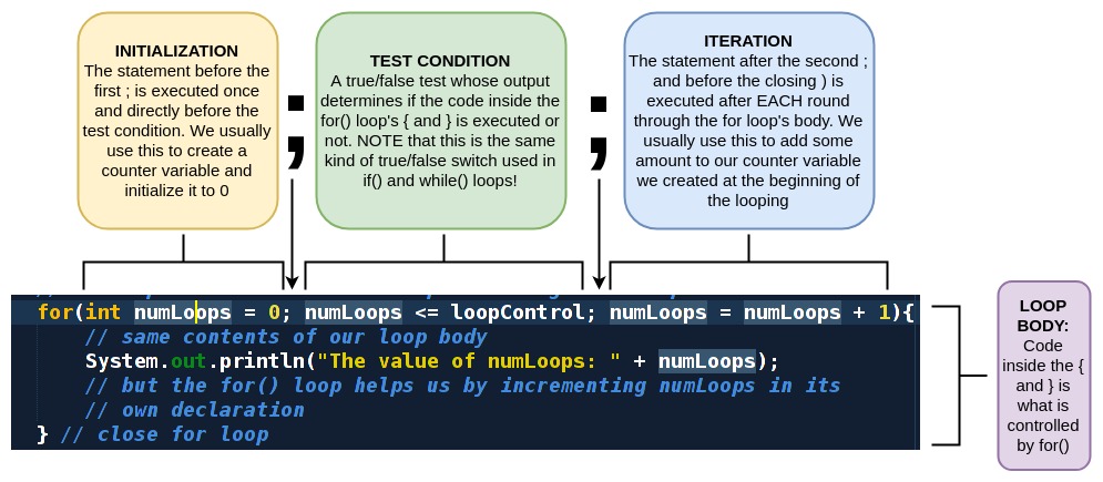 introduction to the for() loop